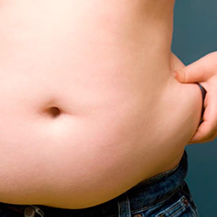 Las 10 Causas Principales De La Obesidad Y El Sobrepeso   La Guía de las Vitaminas