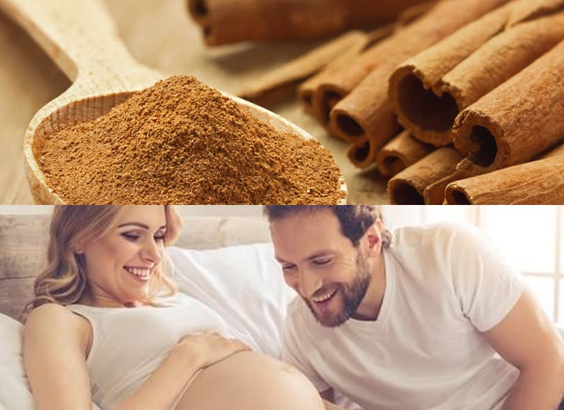 ¿Es Seguro Consumir Canela En El Embarazo?   La Guía de las Vitaminas